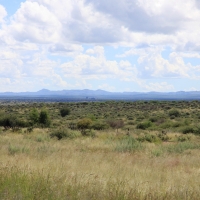 Kalahari.