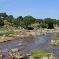 Rzeka Tarangire.