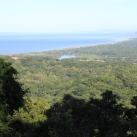 Dżungla nad rzeką Tarcole - wybrzeże Pacyfiku.