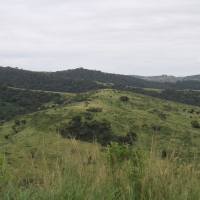 P.N. Hluhluwe.
