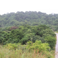Park iSimangaliso.