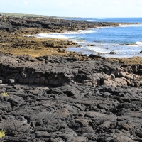 Wybrzeże oceanu.