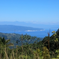 Okoloice Barahona