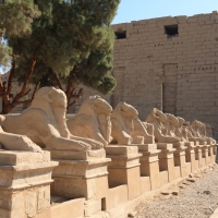 Luxor - świątynia
