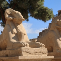 Luxor - świątynia