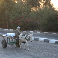 Luxor
