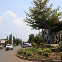 Livingstone