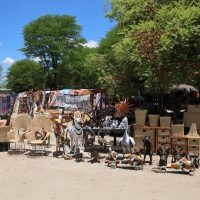Maun