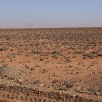Sahara