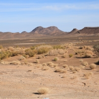 Sahara