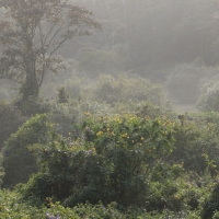 Okolice Munnar