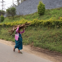 Munnar