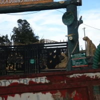 Okolice Mudumalai